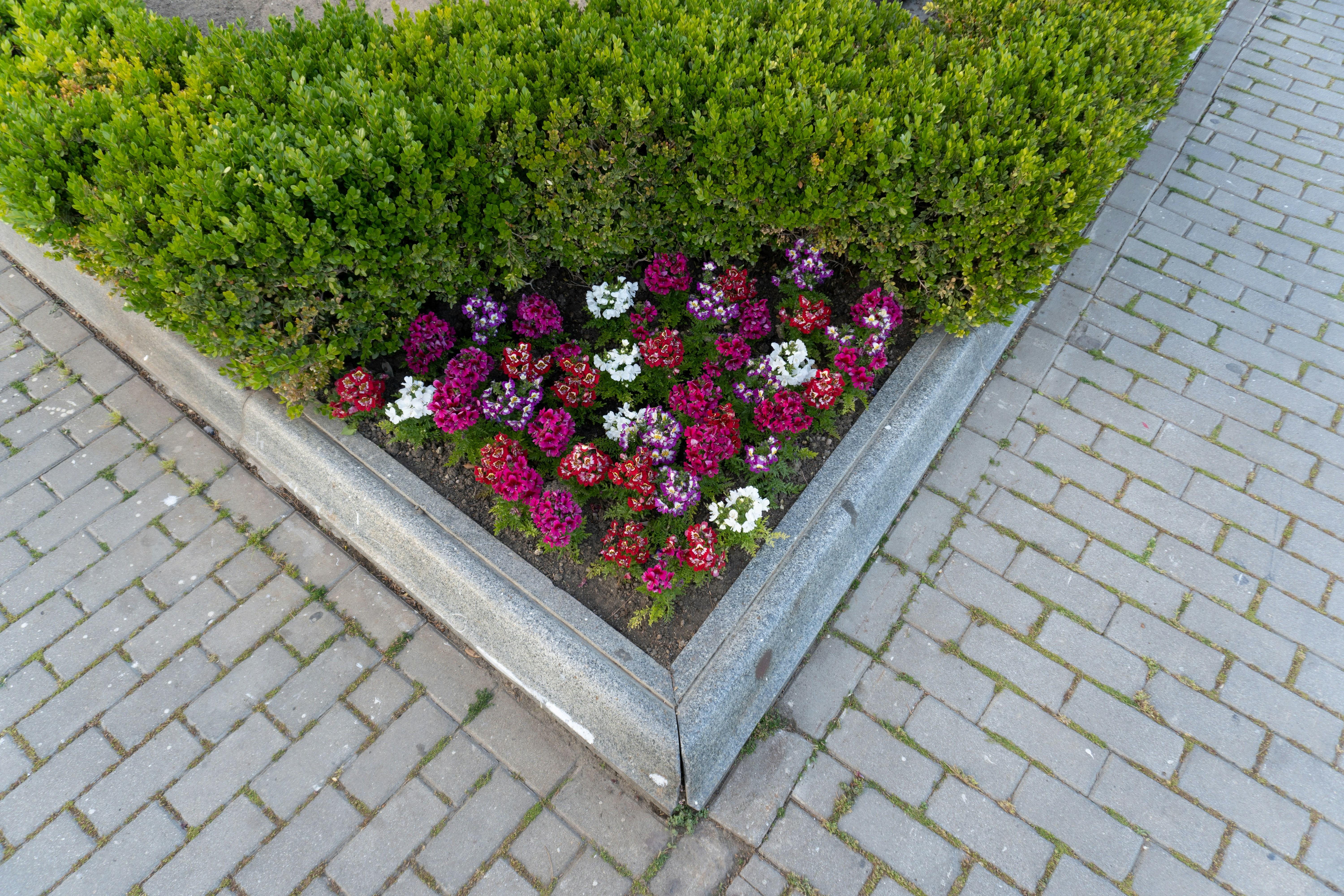 Seasonal Clean-ups